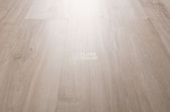 IVC Primero (DryBack) IVC Primero 24137Q фото 5 | FLOORDEALER